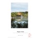 Sugar Cane Photo Cards 14,8x21cm